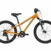 Cannondale Kids Trail 20 - Kinderfahrrad 20 Zoll 2022 | Crush -MTB Schuhe online Shop cannondale kids trail 20 kinderfahrrad 20 zoll 2022 crush 63452 2200x1760 1280x1280